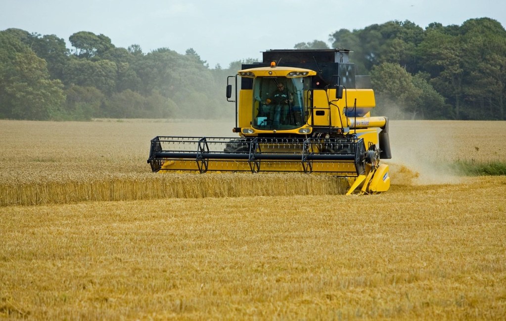wheat, threshing, harvesting, harvest, combine harvester, wheat field, beautiful, close-up, details, threshing, combine harvester, combine harvester, combine harvester, combine harvester, combine harvester